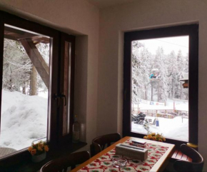 Apartman sa terasom Vila Mina Kopaonik
